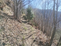 Mondonico-Piambello-DHMarziana3