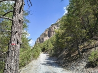 IMG_20260805_115251222_HDR