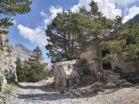 IMG_20260805_121532702_HDR