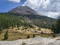 IMG_20260805_123047385_HDR