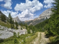 IMG_20260805_125651216_HDR