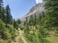 IMG_20260805_125943041_HDR