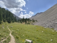 IMG_20260805_131504691_HDR