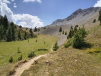 IMG_20260805_131936723_HDR