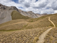 IMG_20260805_140242741_HDR