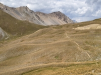 IMG_20260805_140708396_HDR