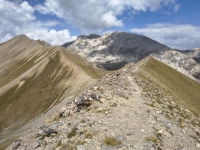 IMG_20260805_145846415_HDR