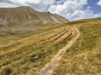 IMG_20260805_152526997_HDR