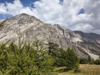 IMG_20260805_153032662_HDR