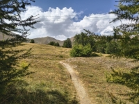IMG_20260805_153038462_HDR