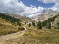 IMG_20260805_153631539_HDR