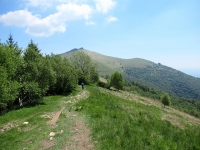 La traccia proveniente dal Monte Boletto in direzione del Monte Bolettone