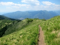 Bel single track che scende dalla cima del Monte Bolettone