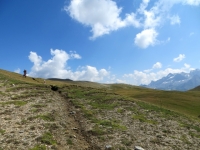Tratto iniziale del sentiero che sale al Breithorn