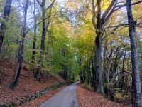 Salita al Monte Piambello