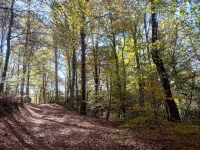 Salita al Monte Piambello