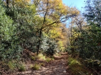 Salita al Monte Piambello