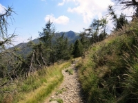 Single-track in discesa verso l'Alpe Canigiolo