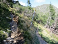 Single-track in discesa verso l'Alpe Canigiolo