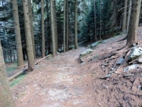 Sentiero per Pian Cusello dall'Alpe Canigiolo