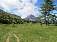 Il bellissimo e divertente sentiero che scende nella Val Gimont