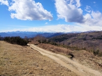 Panorama sull'arco alpino salendo in direzione del Monte del Falò