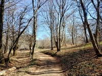 Mottarone Bike – Alpe Vallaccia, Madonna di Luciago e Trasenga trail