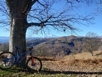 Mottarone-Marigior-Ondella11