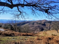 Mottarone-Marigior-Ondella12