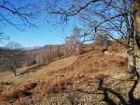 Mottarone-Marigior-Ondella13