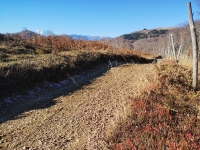 Mottarone-Marigior-Ondella14