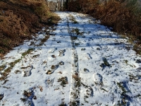 Mottarone-Marigior-Ondella18