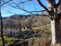 Mottarone-Marigior-Ondella19