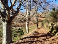 Mottarone-Marigior-Ondella20