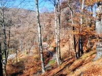 Mottarone-Marigior-Ondella3