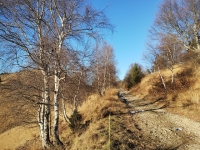 Mottarone-Marigior-Ondella32