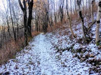 Mottarone-Marigior-Ondella37