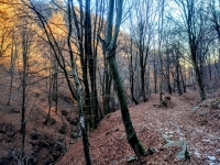 Mottarone-Marigior-Ondella38