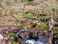 Mottarone-Marigior-Ondella39