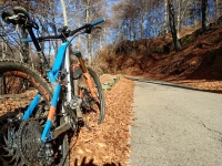 Mottarone-Marigior-Ondella4