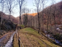 Mottarone-Marigior-Ondella42