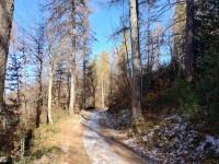 Mottarone-Marigior-Ondella5