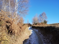 Mottarone-Marigior-Ondella6