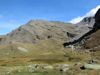 Testa della Nanztal - Laghetto alpino presso l'alpeggio di Obers Fulmoos