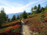 Il sentiero che scende dal Gibidum (Panoramaweg) - Fantastici colori autunnali (Trail rimosso da traccia gps)