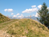 Nei pressi dell'Alpe del Gualdo