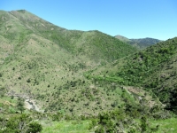 Valle del Gorzente