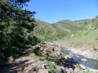 Single track che costeggia il torrente Gorzente