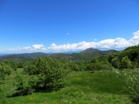 Panorama sul Parco delle Capanne di Marcarolo, sullo sfondo a sinistra il Monte Tobbio