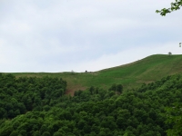 Il Colle del Ranghetto visto dalla forestale che sale dalla Bocchetta di Foglia